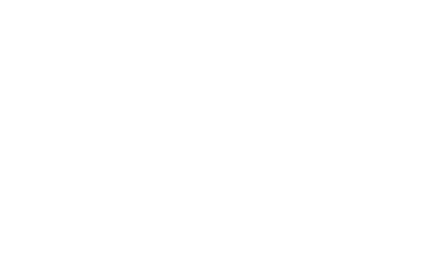 Management's shadow warriors