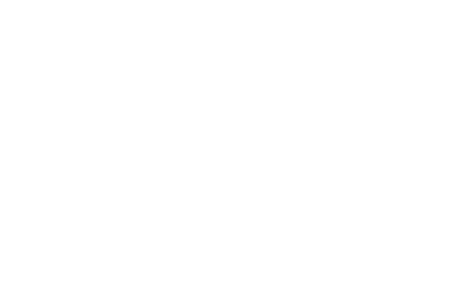 Management's shadow warriors